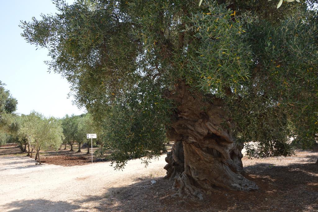 Agriturismo Masseria San Leonardo Savelletri Exteriör bild