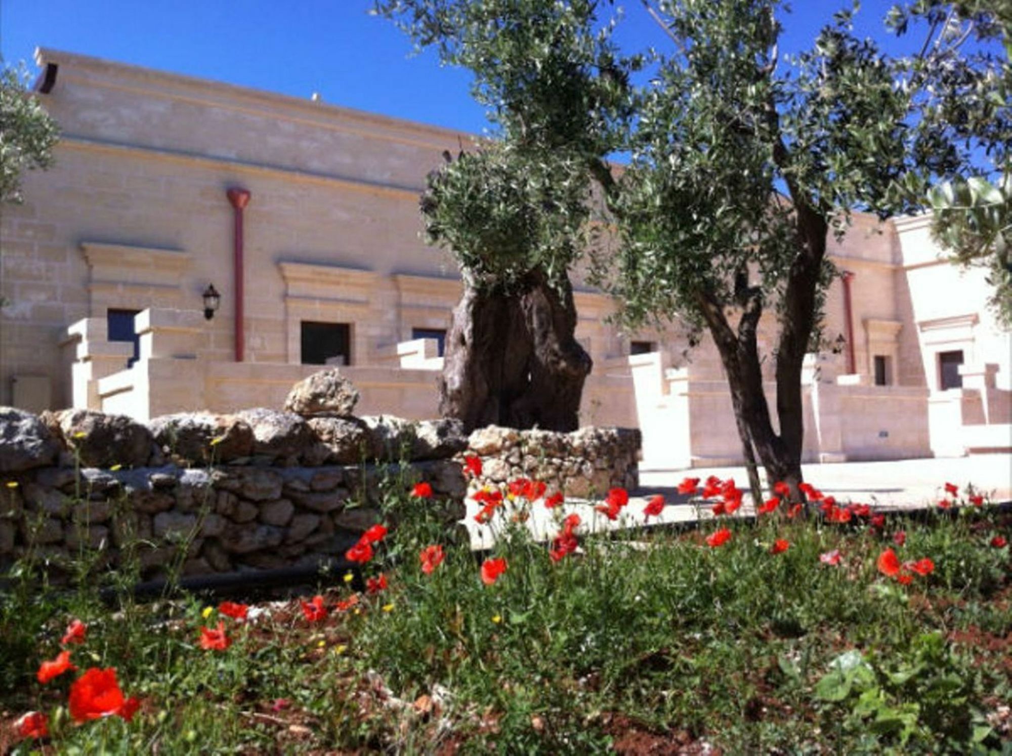 Agriturismo Masseria San Leonardo Savelletri Exteriör bild